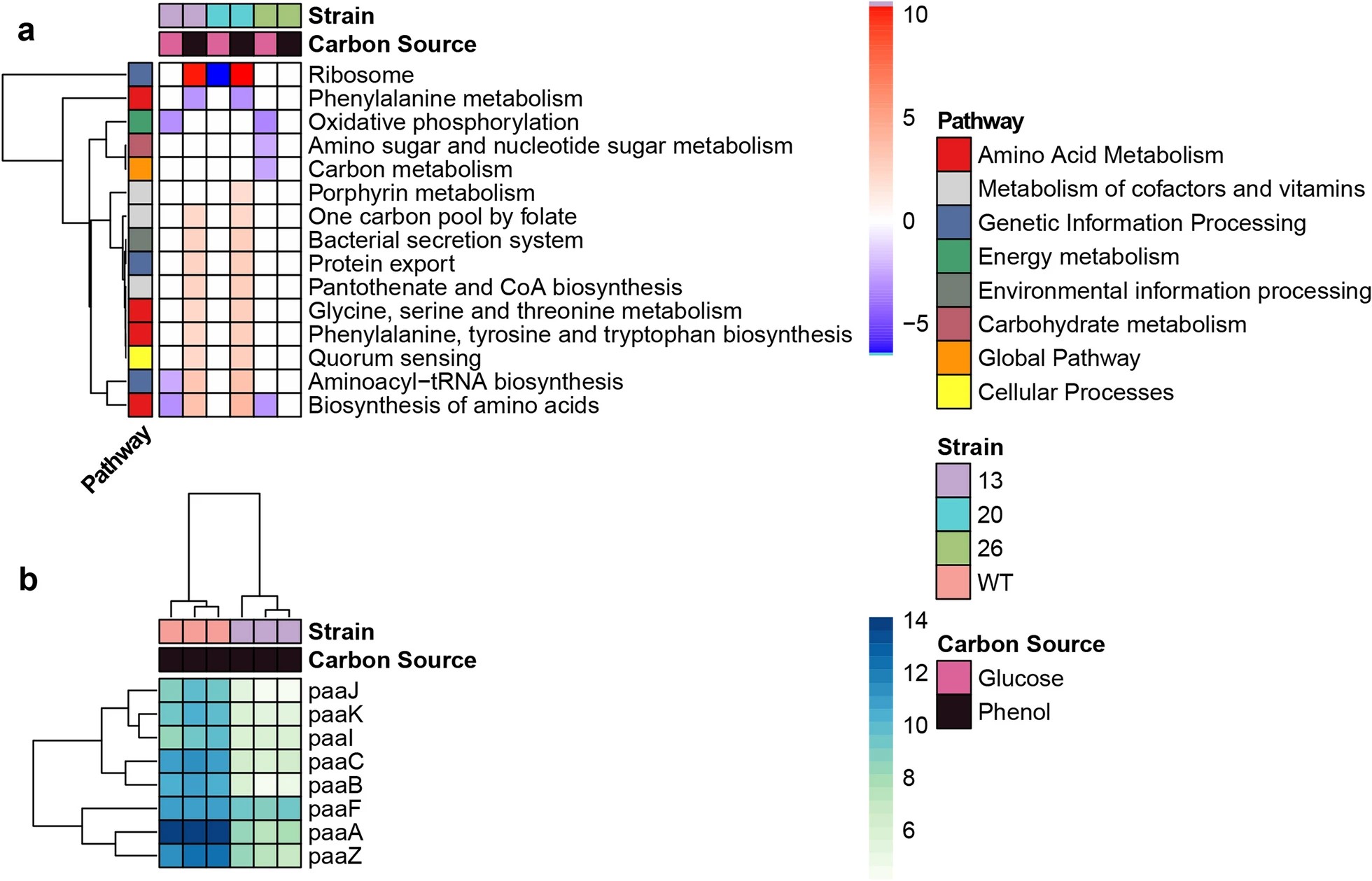 Synthetic Biology for Biofuels